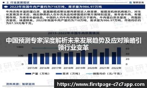 中国预测专家深度解析未来发展趋势及应对策略引领行业变革